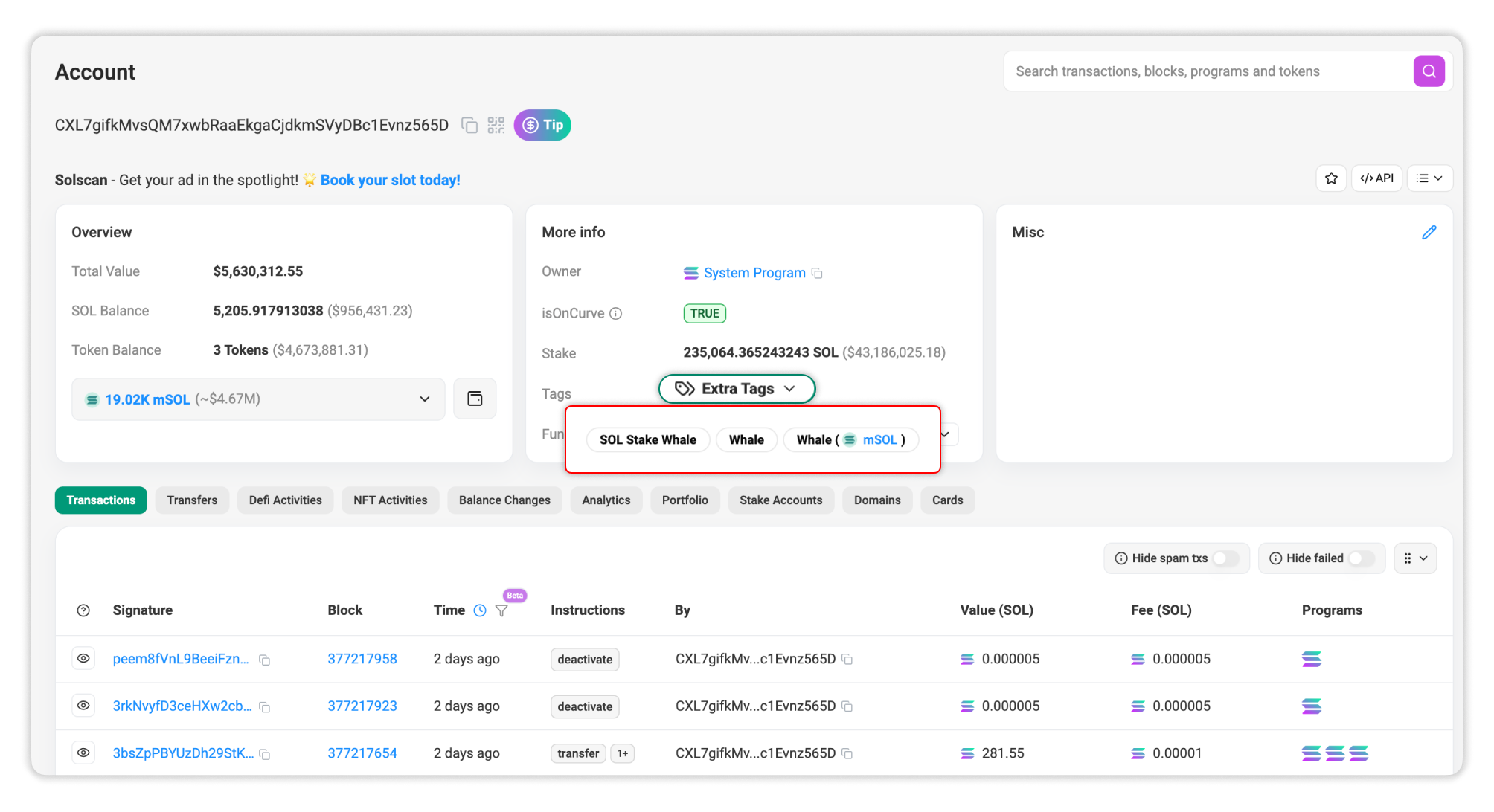 Solscan Extra Tags displays in Account page